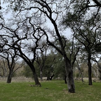 Guadalupe Oak Grove Park - Parks Near Me - San Jose, California