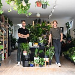 The Plant Gays