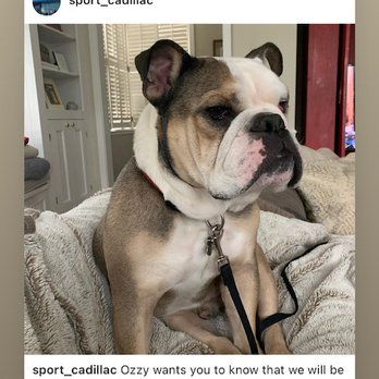Sport Cadillac - Car Dealers Near Me - Silver Spring, Maryland