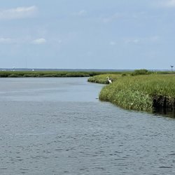 Tom's Tiki Boat Tours