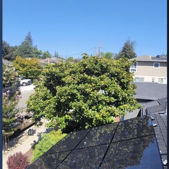 Squeegee Pros - Look at that shine - Window Washing Near Me - San Jose, California