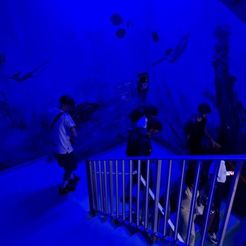 Aquaboulevard - Water Parks Near Me - Paris, 75 Aquaboulevard - Water Parks Near Me - Paris, 75