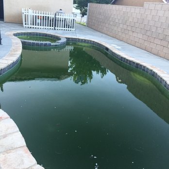 RC Pool Services - Our before green - Pool Cleaners Near Me