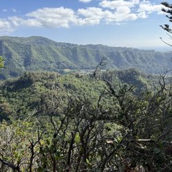 Entrance to Kapalama ridge trail from this park