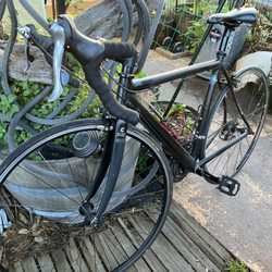 Lakeview Bicycle - Going to sell this bike after a tune up from Lakeshore and find a better size for me. Great little road bike!