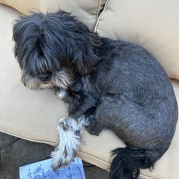Ellie.  Leg warmers and a toupee.  She can't even see.
