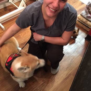 Praise the Paw - My 13 year old Corgi loves coming here! - Pet Groomers Near Me - Denver, Colorado Praise the Paw - My 13 year old Corgi loves coming here! - Pet Groomers Near Me - Denver, Colorado