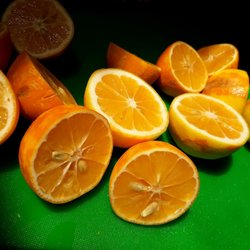 Coastal Market - Meyer Lemons