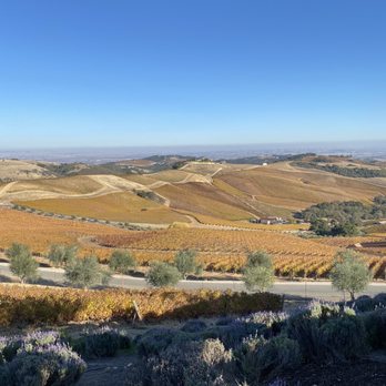 DAOU Vineyards - Amazing view - Wineries Near Me - Paso Robles, California DAOU Vineyards - Amazing view - Wineries Near Me - Paso Robles, California