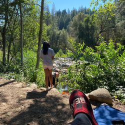 River Rest Resort - My slipper says it all. This was the bears path to my cookies . Guess he already had dinner  Lock up your food when away