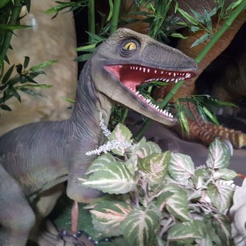 Cabazon Dinosaurs - Museums Near Me - Cabazon, California Cabazon Dinosaurs - Museums Near Me - Cabazon, California