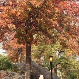 The foliage is glorious! The foliage is glorious!