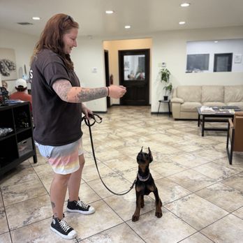 CANIS - Behavior and Training - Kaitlyn and kano - Pet Training Near Me - Tarzana, California CANIS - Behavior and Training - Kaitlyn and kano - Pet Training Near Me - Tarzana, California