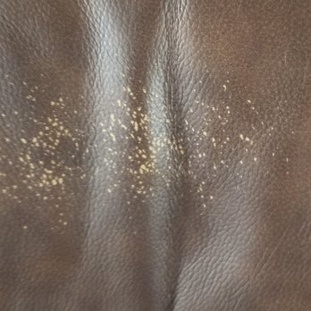 Regency Furniture - FOUR MONTHS OLD REAL LEATHER??? THEY WILL NOT FIX. - Furniture Stores Near Me - Fredericksburg, Virginia Regency Furniture - FOUR MONTHS OLD REAL LEATHER??? THEY WILL NOT FIX. - Furniture Stores Near Me - Fredericksburg, Virginia