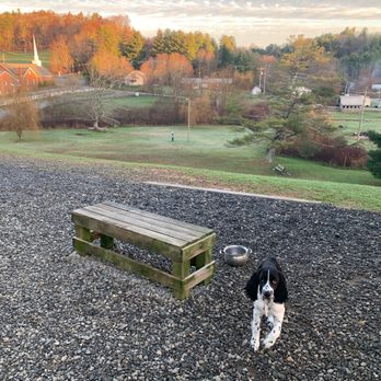 Arko Dog Park - Animal Shelters Near Me - Boone, North Carolina