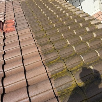 Exterior Solutions - Moss Algae removal - Gutter Services Near Me Exterior Solutions - Moss Algae removal - Gutter Services Near Me