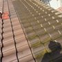 Exterior Solutions