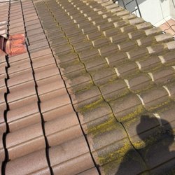 Exterior Solutions - Moss Algae removal