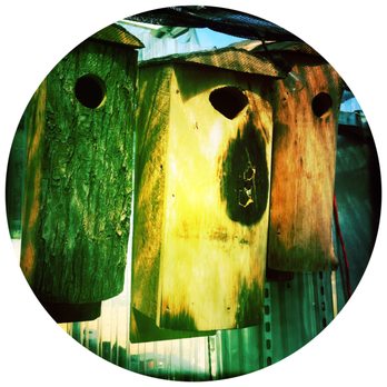 Chimacum Corner Farmstand - cute bird houses - Grocery Near Me - Chimacum, Washington