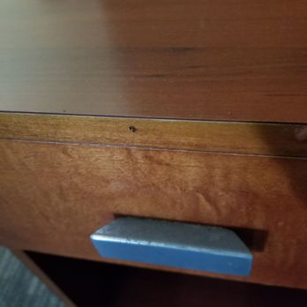 Courtyard by Marriott Albany - Zoom in to see small cockroach and filthy grime on handle of nightstand. - Hotels Near Me - Albany, Georgia Courtyard by Marriott Albany - Zoom in to see small cockroach and filthy grime on handle of nightstand. - Hotels Near Me - Albany, Georgia