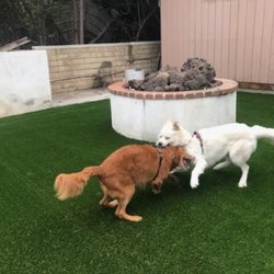 Greenview Turf