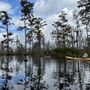Photo of Louisiana Lost Lands Environmental Tours, L3C