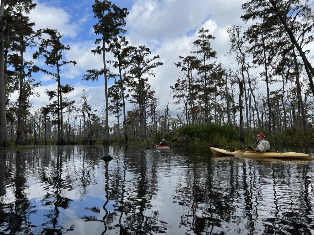 Louisiana Lost Lands Environmental Tours, L3C Logo