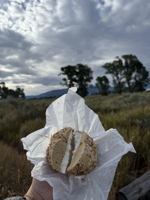 Pearl Street Bagels by null