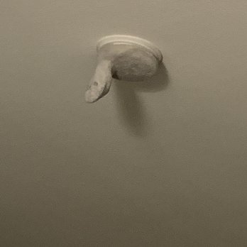 Beachfront Inn - The only negative. Housekeepers missed that a former guest covered the smoke detector with a sock!! Otherwise very clean. - Hotels Near Me - Brookings, Oregon Beachfront Inn - The only negative. Housekeepers missed that a former guest covered the smoke detector with a sock!! Otherwise very clean. - Hotels Near Me - Brookings, Oregon