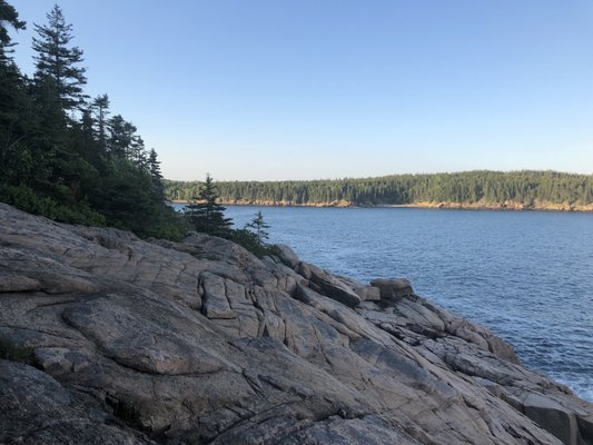 Blackwoods Campground by null