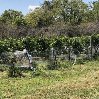 Rocklands Farm Winery - Vineyard - CSA Near Me - Poolesville, Maryland Rocklands Farm Winery - Vineyard - CSA Near Me - Poolesville, Maryland