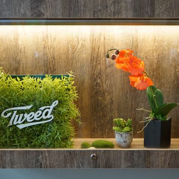 Plantlife - Cannabis Dispensaries Near Me - Edmonton, Alberta Plantlife - Cannabis Dispensaries Near Me - Edmonton, Alberta