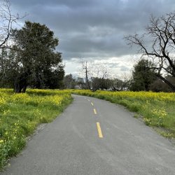 Shady Oaks Park & Playground