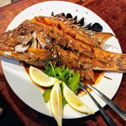 Hogfish
