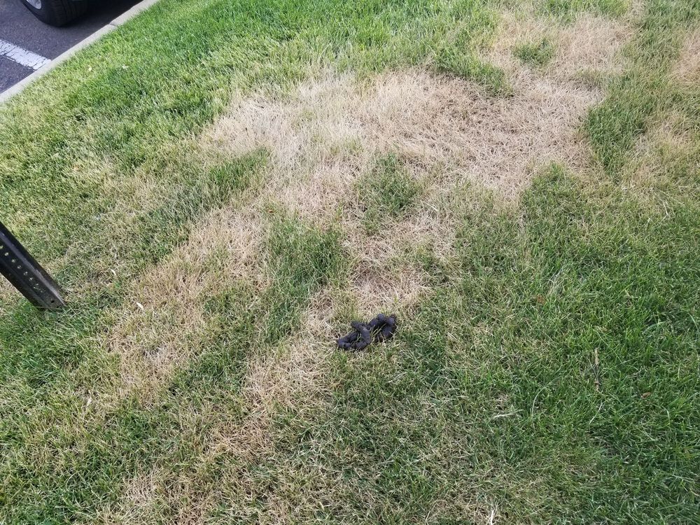 THE PINES AT MARSTON LAKE 15 Photos & 18 Reviews 4801 S Wadsworth