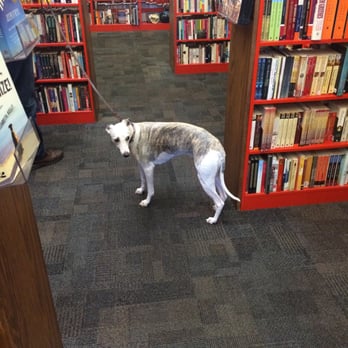 Bookmans Entertainment Exchange - Dog friendly - Books, Mags, Music & Video Near Me - Phoenix, Arizona