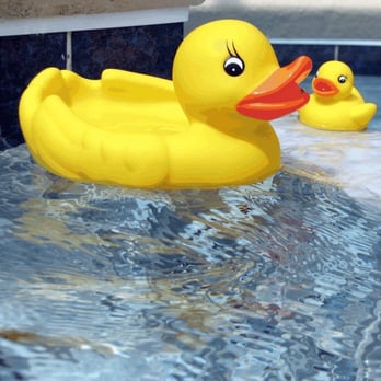 Pool-X-Perts - Pool Repair and Service You Can Trust - Pool Cleaners Near Me - Valrico, Florida Pool-X-Perts - Pool Repair and Service You Can Trust - Pool Cleaners Near Me - Valrico, Florida