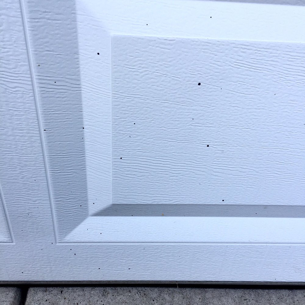 Firemen Sealcoating - Tar splatter spots on bottom panel of white garage door. - General Contractors Near Me - Woodridge, Illinois Firemen Sealcoating - Tar splatter spots on bottom panel of white garage door. - General Contractors Near Me - Woodridge, Illinois