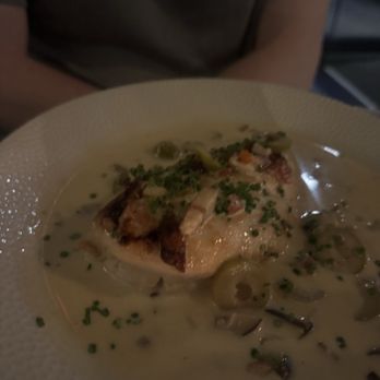 Little Blackbird - Coq au vin - Wine Bars Near Me - Washington, DC, District of Columbia Little Blackbird - Coq au vin - Wine Bars Near Me - Washington, DC, District of Columbia