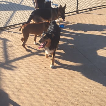 Reynold's Dog Park - Dog Parks Near Me - Phoenixville, Pennsylvania