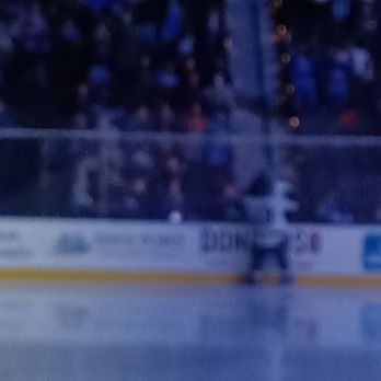 Jacksonville Icemen - Stadiums & Arenas Near Me - Jacksonville, Florida Jacksonville Icemen - Stadiums & Arenas Near Me - Jacksonville, Florida