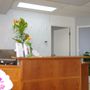 Photo of Inline Health and Sports Injury Clinic