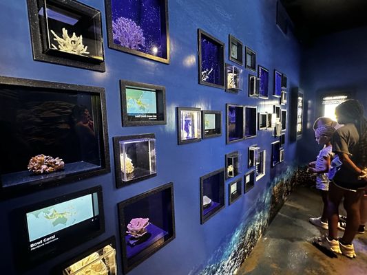 Waikiki Aquarium by null