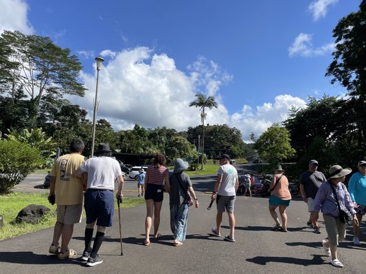 Rainbow Falls by null