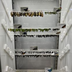 user provided NightLife photo