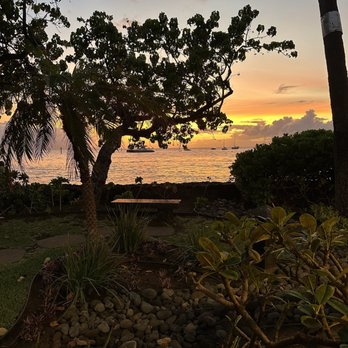 Star Noodle - Views 5/2025 - Asian Fusion Near Me - Lahaina, Hawaii Star Noodle - Views 5/2025 - Asian Fusion Near Me - Lahaina, Hawaii