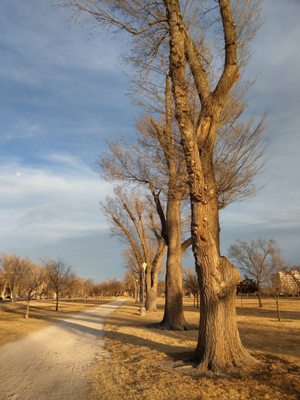 Ellwood Park by null