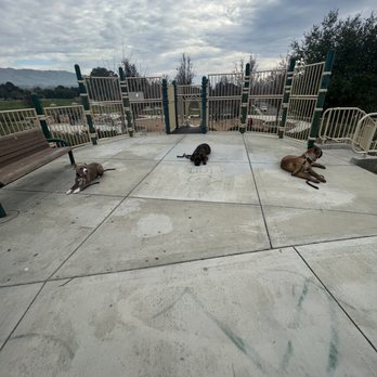 A Happy Pet Tail - Pet Boarding Near Me - Gilroy, California