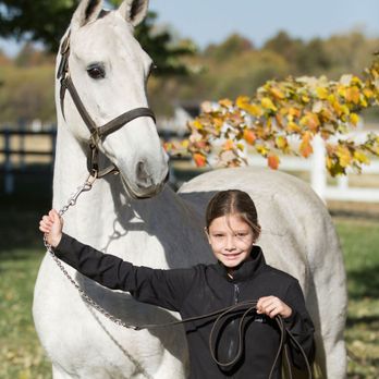 Abby Road Farm - Horseback Riding Near Me - Peculiar, Missouri Abby Road Farm - Horseback Riding Near Me - Peculiar, Missouri