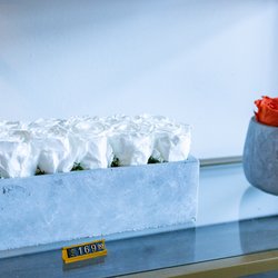 Le Panier De Fleurs - Spring Cement Collection featuring roses that last over a year